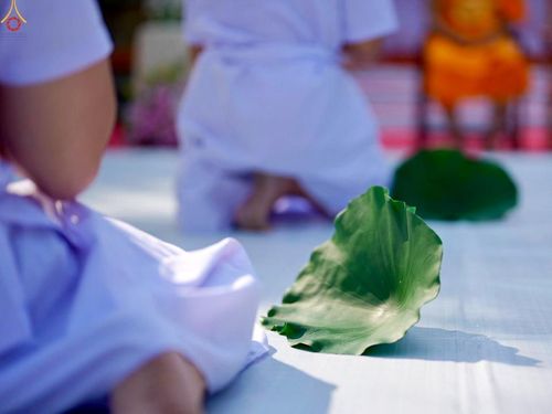 ภาพ No.280782:วันที่ 27 ธันวาคม พ.ศ. 2568  พิธีปลงผมนาคธรรมทายาท โครงการอุปสมบทหมู่บูชาธรรม 81 ปี หลวงพ่อธัมมชโย  ณ สมาคมพุทธ เขตตงช้ง ฮ่องกง