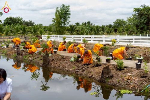 ภาพ No.238592:วันอาทิตย์ที่ 17 สิงหาคม พ.ศ. 2568 พิธีทอดผ้าป่าบำรุงศูนย์อบรมเยาวชนนครปฐม ครบรอบ 14 ปี และพิธีปลูกต้นไม้รอบสระเศรษฐี ณ ศูนย์อบรมเยาวชนนครปฐม