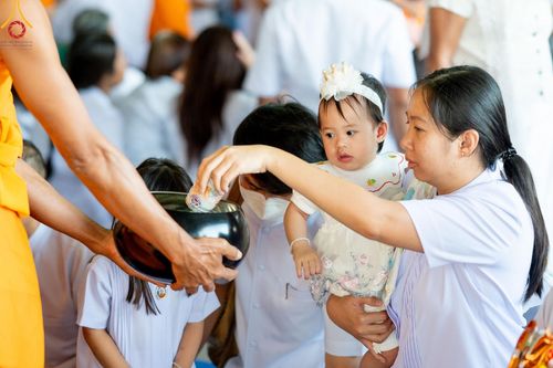 ภาพ No.167546:พิธีตักบาตรและพิธีบูชาข้าวพระ ในวันอาทิตย์ที่ 3 พฤศจิกายน พ.ศ. 2567 ณ วัดพระธรรมกาย