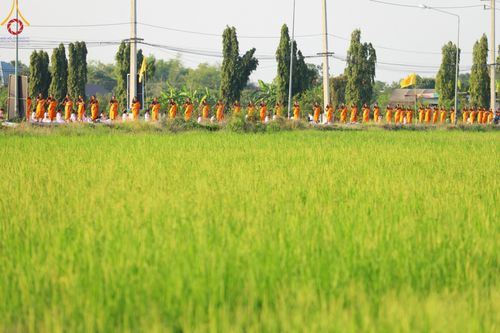 ภาพ No.116676:พิธีต้อนรับพระธรรมยาตรา ปีที่ 12 ณ อนุสรณ์สถานบางปลา จ.นครปฐม วันที่ 21 มกราคม พ.ศ. 2567
