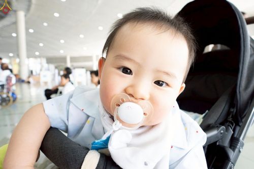 ภาพ No.240131:วันเสาร์ที่ 23 สิงหาคม พ.ศ. 2568 (วันพระ แรม 14 ค่ำ เดือน 9) พิธีบุพเปตพลี ครั้งที่ 169 ร่วมอุทิศบุญแด่หมู่ญาติที่ล่วงลับไปแล้ว และสืบทอดอายุพระพุทธศาสนา ณ หอฉันคุณยายอาจารย์ฯ วัดพระธรรมกาย