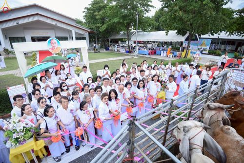 ภาพ No.241356:วันอาทิตย์ที่ 24 สิงหาคม พ.ศ.2568 พิธีปฐมผ้าป่าสถาปนาองค์พระเจดีย์เพื่อสร้างสันติภาพโลก พิธีไถ่ชีวิตโค สร้างมหากุศลด้วยการให้ชีวิตสัตว์เป็นทาน ณ ศูนย์ปฏิบัติธรรมสระบุรี อ.พระพุทธบาท จ.สระบุรี