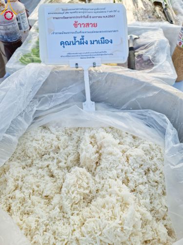 ภาพ No.108143:พิธีถวายภัตตาหารเป็นสังฆทาน แด่คณะพระธรรมยาตราฯ ในโครงการธรรมยาตรากตัญญูบูชา มหาปูชนียาจารย์ พระมงคลเทพมุนี(สด จนฺทสโร) พระผู้ปราบมาร อนุสรณ์สถาน 7 แห่ง ปีที่ 12 วันที่ 8 มกราคม พ.ศ. 2567 ณ อนุสรณ์สถานมหาวิหารพระมงคลเทพมุนี (โลตัสแลนด์) อ.สองพี่น้อง จ.สุ