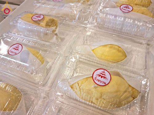 ภาพ No.204434:พิธีถวายภัตตาหารเป็นสังฆทาน แด่พระธรรมยาตรา ณ วัดพระธรรมกาย ตำบลคลองสาม อำเภอคลองหลวง จังหวัดปทุมธานี ในโครงการธรรมยาตรา กตัญญูบูชา มหาปูชนียาจารย์ พระมงคลเทพมุนี(สด จนฺทสโร) พระผู้ปราบมาร อนุสรณ์สถาน 7 แห่ง ปีที่ 13 วันที่ 31 มกราคม พ.ศ. 2568