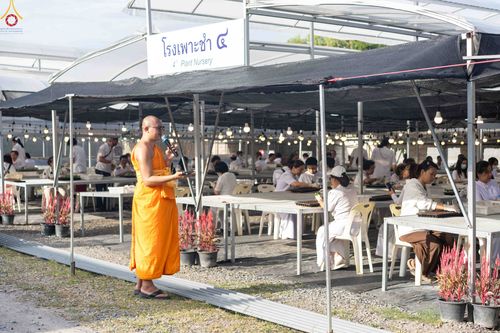 ภาพ No.343882:วันที่ 16 สิงหาคม พ.ศ.2569 การปักชำต้นกล้าเบญจทรัพย์ เพื่อเตรียมดอกไม้บูชาธรรม พระเดชพระคุณหลวงปู่ และโปรยต้อนรับพระธรรมยาตรา ปีที่ 15 ณ โรงเรือนปักชำประตู 8 วัดพระธรรมกาย