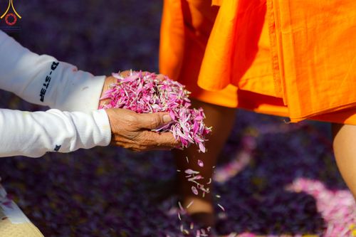 ภาพ No.105633:พิธีต้อนรับพระธรรมยาตรา ในโครงการธรรมยาตรากตัญญูบูชา มหาปูชนียาจารย์ พระมงคลเทพมุนี(สด จนฺทสโร) พระผู้ปราบมาร อนุสรณ์สถาน 7 แห่ง ปีที่ 12 วันที่ 3 มกราคม พ.ศ. 2567 ณ อนุสรณ์สถานโลตัสแลนด์ จ.สุพรรณบุรี
