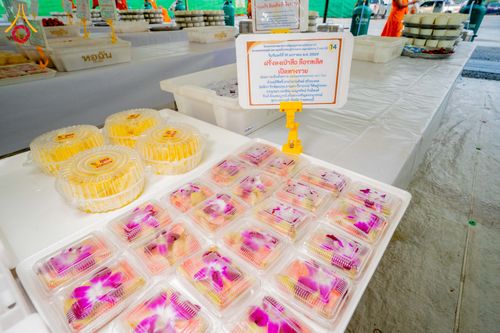 ภาพ No.297926:วันที่ 19 มกราคม พ.ศ. 2569 พิธีถวายภัตตาหารเป็นสังฆทาน แด่พระธรรมยาตรา ณ อนุสรณ์สถานบางปลา วัดบางปลา อำเภอบางเลน จังหวัดนครปฐม ในโครงการธรรมยาตรา กตัญญูบูชา มหาปูชนียาจารย์ พระมงคลเทพมุนี(สด จนฺทสโร) พระผู้ปราบมาร อนุสรณ์สถาน 7 แห่ง ปีที่ 14