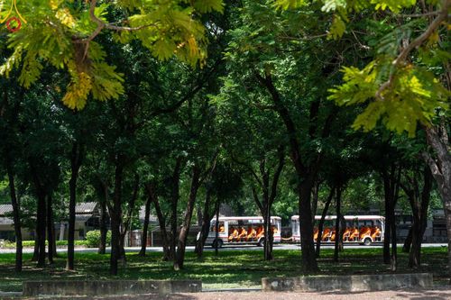 ภาพ No.157778:พิธีถวายภัตตาหารเมนูสวรรค์ ในพรรษาแห่งการเข้าถึงธรรม วันเสาร์ที่ 28 กันยายน พ.ศ. 2567 ณ หอฉันคุณยายอาจารย์ฯ วัดพระธรรมกาย