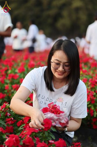 ภาพ No.185501:กิจกรรมเก็บดอกแพงรวย วันอาทิตย์ที่ 22 ธันวาคม พ.ศ. 2567 ณ ทุ่งสวรรค์ ตะวันฉาย วัดพระธรรมกาย