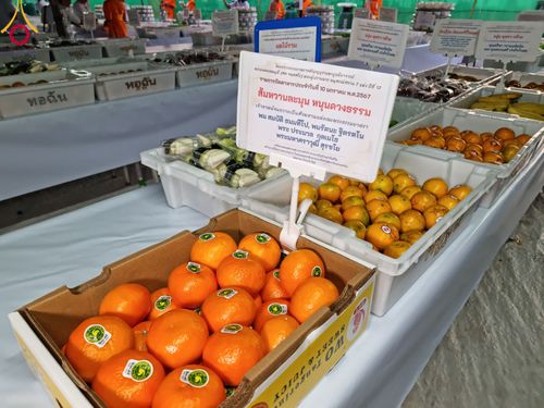 ภาพ No.109214:พิธีถวายภัตตาหารเป็นสังฆทาน แด่คณะพระธรรมยาตราฯ วันที่ 10 มกราคม พ.ศ. 2567 ณ อนุสรณ์สถานคลองบางนางแท่น อ.สามพราน จ.นครปฐม