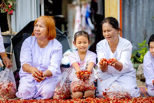 ภาพ No.294993:วันที่ 14 มกราคม พ.ศ. 2569 พิธีต้อนรับพระธรรมยาตรา อนุสรณ์สถานลำดับที่ 4  สถานที่เกิดด้วยกายธรรม ณ วัดโบสถ์บน ต.บางคูเวียง จ.นนทบุรี ในโครงการธรรมยาตรา กตัญญูบูชา มหาปูชนียาจารย์ พระมงคลเทพมุนี(สด จนฺทสโร) พระผู้ปราบมาร อนุสรณ์สถาน 7 แห่ง ปีที่ 14