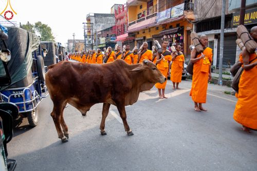 ภาพ No.317028:วันเสาร์ที่ 28 มีนาคม พ.ศ.2569 ธรรมยาตราจาริก ณ ซุ้มประตูลุมพินีเกต(Lumbini Gate) ประเทศเนปาล