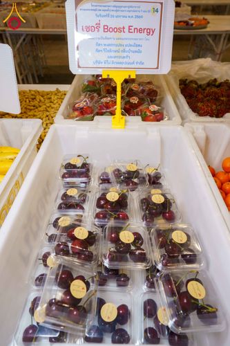 ภาพ No.303180:วันที่ 26 มกราคม พ.ศ. 2569 พิธีถวายภัตตาหารเป็นสังฆทาน แด่พระธรรมยาตรา ณ วัดพระธรรมกาย  จังหวัดปทุมธานี ในโครงการธรรมยาตรา กตัญญูบูชา มหาปูชนียาจารย์ พระมงคลเทพมุนี(สด จนฺทสโร) พระผู้ปราบมาร อนุสรณ์สถาน 7 แห่ง ปีที่ 14