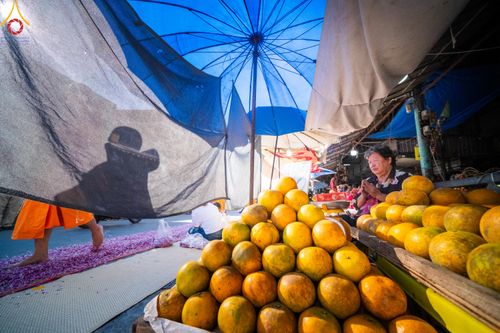 ภาพ No.105648:พิธีต้อนรับพระธรรมยาตรา ในโครงการธรรมยาตรากตัญญูบูชา มหาปูชนียาจารย์ พระมงคลเทพมุนี(สด จนฺทสโร) พระผู้ปราบมาร อนุสรณ์สถาน 7 แห่ง ปีที่ 12 วันที่ 3 มกราคม พ.ศ. 2567 ณ อนุสรณ์สถานโลตัสแลนด์ จ.สุพรรณบุรี
