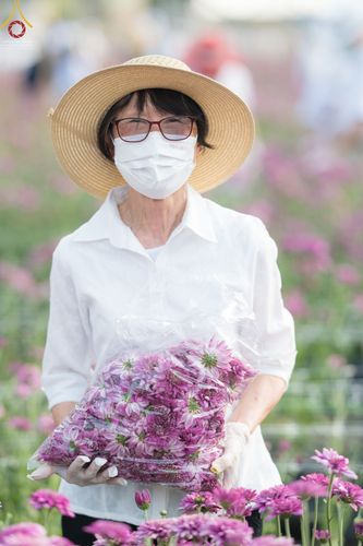 ภาพ No.66639:สาธุชนรับบุญตัดดอกทรัพย์บานชื่น ระหว่างวันที่ 9-10 ธันวาคม พ.ศ. 2565 ณ วัดพระธรรมกาย