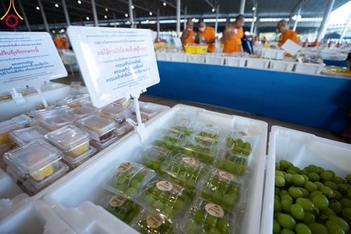 ภาพ No.105409:พิธีถวายภัตตาหารเป็นสังฆทาน แด่คณะพระธรรมยาตราฯ ในโครงการธรรมยาตรากตัญญูบูชา มหาปูชนียาจารย์ พระมงคลเทพมุนี(สด จนฺทสโร) พระผู้ปราบมาร อนุสรณ์สถาน 7 แห่ง ปีที่ 12 วันที่ 2 มกราคม พ.ศ. 2567 ณ สภาธรรมกายสากล วัดพระธรรมกาย