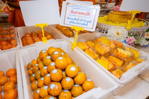 ภาพ No.305447:วันที่ 29 มกราคม พ.ศ. 2569 พิธีถวายภัตตาหารเป็นสังฆทาน แด่พระธรรมยาตรา ณ วัดพระธรรมกาย  จังหวัดปทุมธานี ในโครงการธรรมยาตรา กตัญญูบูชา มหาปูชนียาจารย์ พระมงคลเทพมุนี(สด จนฺทสโร) พระผู้ปราบมาร อนุสรณ์สถาน 7 แห่ง ปีที่ 14