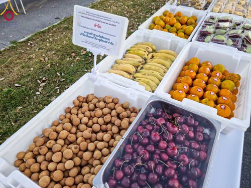 ภาพ No.106065:พิธีถวายภัตตาหารเป็นสังฆทาน แด่คณะพระธรรมยาตราฯ ในโครงการธรรมยาตรากตัญญูบูชา มหาปูชนียาจารย์ พระมงคลเทพมุนี(สด จนฺทสโร) พระผู้ปราบมาร อนุสรณ์สถาน 7 แห่ง ปีที่ 12 วันที่ 3 มกราคม พ.ศ. 2567 ณ อนุสรณ์สถานโลตัสแลนด์ จ.สุพรรณบุรี