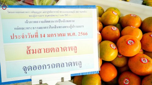 ภาพ No.71200:พิธีถวายภัตตาหารเป็นสังฆทาน แด่คณะพระธรรมยาตราฯ ในโครงการธรรมยาตราฯ ปีที่ 11 ณ อนุสรณ์สถานคลองบางนางแท่น อ.สามพราน จ.นครปฐม วันที่ 14 มกราคม พ.ศ. 2566