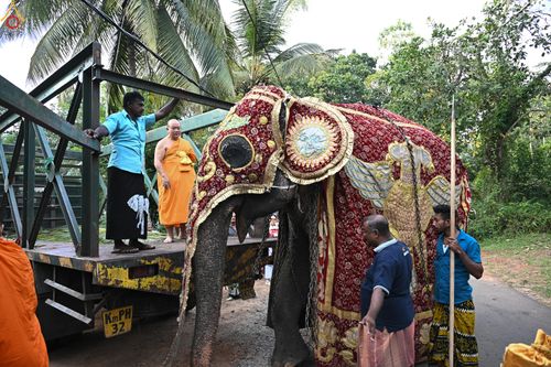 ภาพ No.278850:วันที่ 1 พฤศจิกายน  2568 กฐินสมทบวัดต่างประเทศ โดยคณะศิษยานุศิษย์ บูชาธรรม 81 ปี หลวงพ่อธัมมชโย กฐินช้างศรีลังกา  ณ วัดสุวรรณวิหาร เขตอาวิซาเวรี ประเทศศรีลังกา