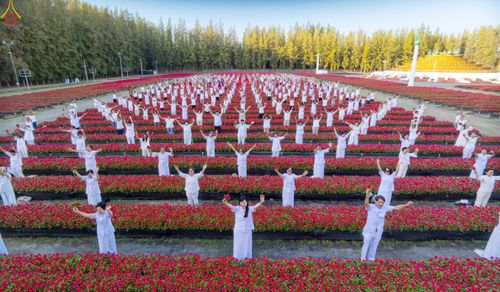 ภาพ No.280950:วันที่ 28 ธันวาคม พ.ศ.2568 กิจกรรมเก็บดอกแพงรวย ณ ทุ่งสวรรค์ตะวันฉาย วัดพระธรรมกาย