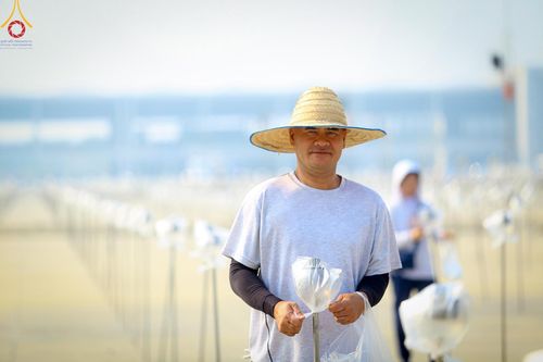 ภาพ No.124103:V.26 มาฆะ มากันนะ การรับบุญเตรียมงาน ของเจ้าหน้าที่หน่วยงานต่างๆ เพื่อวันมาฆบูชา วันเสาร์ที่ 24 กุมภาพันธ์  พ.ศ. 2567 ณ วัดพระธรรมกาย จ.ปทุมธานี