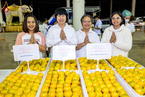 ภาพ No.203667:พิธีถวายภัตตาหารเป็นสังฆทาน แด่พระธรรมยาตรา ณ วัดพระธรรมกาย ตำบลคลองสาม อำเภอคลองหลวง จังหวัดปทุมธานี ในโครงการธรรมยาตรา กตัญญูบูชา มหาปูชนียาจารย์ พระมงคลเทพมุนี(สด จนฺทสโร) พระผู้ปราบมาร อนุสรณ์สถาน 7 แห่ง ปีที่ 13 วันที่ 30 มกราคม พ.ศ. 2568