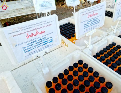 ภาพ No.112882:พิธีถวายภัตตาหารเป็นสังฆทาน แด่คณะพระธรรมยาตรา ปีที่ 12 วันที่ 15 มกราคม พ.ศ. 2567 ณ วัดสองพี่น้อง จ.สุพรรณบุรี