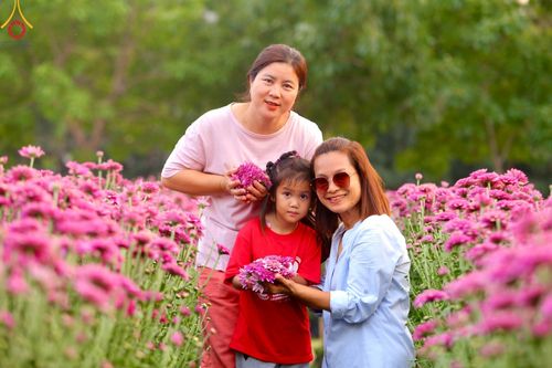 ภาพ No.102915:สาธุชนร่วมรับบุญเก็บดอกเบญจทรัพย์ ในวันที่ 19 ธันวาคม พ.ศ. 2566 (วันแรก) ณ บริเวณวัดพระธรรมกาย จ.ปทุมธานี