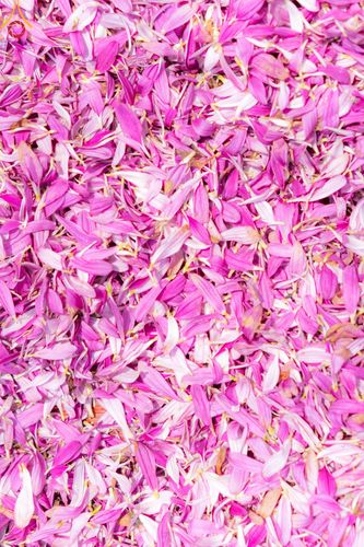 ภาพ No.128997:พระธรรมยาตราเดินธรรมยาตรา ณ ชุมชนรอบศูนย์ปฏิบัติธรรมภาคใต้ อ.บางกล่ำ จ.สงขลา วันที่ 10 มีนาคม พ.ศ. 2567