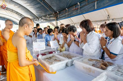 ภาพ No.127759:พิธีถวายภัตตาหารเป็นสังฆทาน แด่คณะพระธรรมยาตราฯ ในโครงการธรรมยาตราอัญเชิญพระบรมสารีริกธาตุ ประดิษฐาน ณ มหารัตนเจดีย์สิริปทุมสวรรค์ อ.บางกล่ำ จ.สงขลา วันที่ 8 มีนาคม พ.ศ. 2567