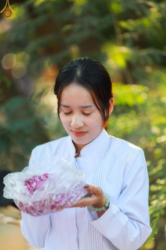 ภาพ No.116617:พิธีต้อนรับพระธรรมยาตรา ปีที่ 12 ณ อนุสรณ์สถานบางปลา จ.นครปฐม วันที่ 21 มกราคม พ.ศ. 2567