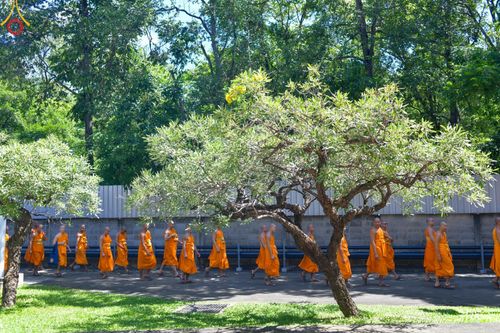 ภาพ No.143177:พิธีถวายภัตตาหารเพื่อเป็นกำลังแห่งการเข้าถึงธรรม ของพระภิกษุสามเณร วัดพระธรรมกาย วันเสาร์ที่ 6 กรกฏาคม พ.ศ. 2567 ณ หอฉันคุณยายอาจารย์ วัดพระธรรมกาย จ.ปทุมธานี