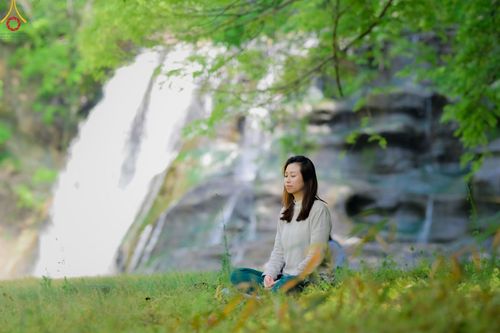 ภาพ No.136481:คณะพระภิกษุสงฆ์และกัลยาณมิตรชาวสิงคโปร์ เดินทางมาปฏิบัติธรรม ณ วัดป่าธรรมกายนานาชาติโทชิหงิ ประเทศญี่ปุ่น ระหว่างวันที่ 27 เมษายน  - 2 พฤษภาคม พ.ศ. 2567