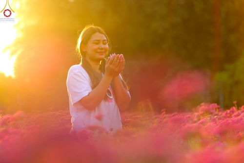 ภาพ No.102916:สาธุชนร่วมรับบุญเก็บดอกเบญจทรัพย์ ในวันที่ 19 ธันวาคม พ.ศ. 2566 (วันแรก) ณ บริเวณวัดพระธรรมกาย จ.ปทุมธานี