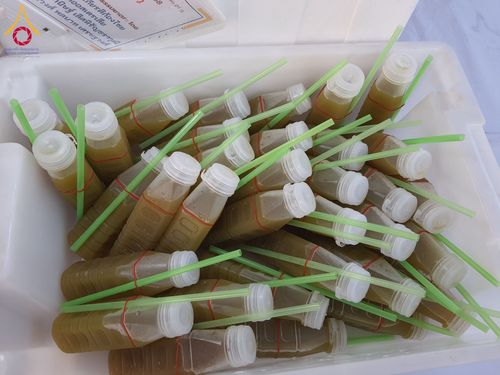 ภาพ No.197996:สาธุชนถวายภัตตาหารเป็นสังฆทาน แด่พระธรรมยาตรา ณ วัดโบสถ์(บน) ตำบลบางคูเวียง อำเภอบางกรวย จังหวัดนนทบุรี ในโครงการธรรมยาตรา กตัญญูบูชา มหาปูชนียาจารย์ พระมงคลเทพมุนี(สด จนฺทสโร) พระผู้ปราบมาร อนุสรณ์สถาน 7 แห่ง ปีที่ 13 วันที่ 19 มกราคม พ.ศ. 2568