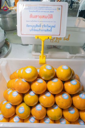 ภาพ No.300237:วันที่ 22 มกราคม พ.ศ. 2569 พิธีถวายภัตตาหารเป็นสังฆทาน แด่พระธรรมยาตรา ณ อนุสรณ์สถานบางปลา วัดบางปลา อำเภอบางเลน จังหวัดนครปฐม ในโครงการธรรมยาตรา กตัญญูบูชา มหาปูชนียาจารย์ พระมงคลเทพมุนี(สด จนฺทสโร) พระผู้ปราบมาร อนุสรณ์สถาน 7 แห่ง ปีที่ 14