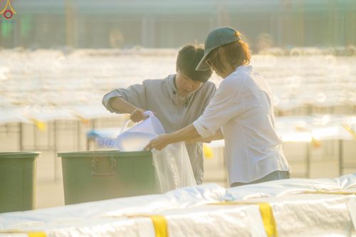 ภาพ No.321555:วันที่ 9-10 เมษายน พ.ศ.2569 การเตรียมงาน มัดถุงน้ำ ถ่วงขาโต๊ะไทยธรรม เพื่องานถวายมหาสังฆทาน 40,000 กว่าวัดทั่วประเทศ วันคุ้มครองโลก 22 เมษายน พ.ศ.2569 วัดพระธรรมกาย