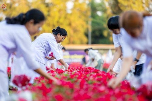 ภาพ No.280995:วันที่ 28 ธันวาคม พ.ศ.2568 กิจกรรมเก็บดอกแพงรวย ณ ทุ่งสวรรค์ตะวันฉาย วัดพระธรรมกาย