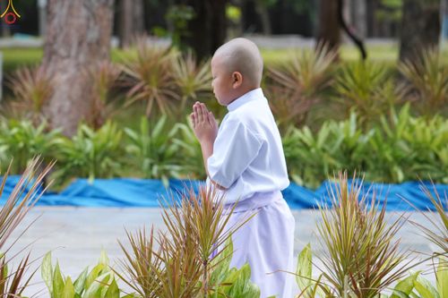 ภาพ No.338737:วันที่ 11 กรกฎาคม พศ.2569 พิธีบรรพชาอุปสมบท โครงการอุปสมบทหมู่ธรรมทายาทนานาชาติ  IDOP รุ่นที่ 21 (ภาษาจีน)  จากประเทศจีน มาเลเซีย สิงคโปร์ และไต้หวัน , โครงการบรรพชาสามเณรโรงเรียนนานาชาติ รุ่นที่ 15