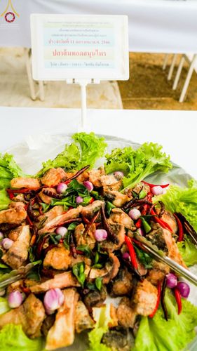 ภาพ No.70416:พิธีถวายภัตตาหารเป็นสังฆทาน แด่คณะพระธรรมยาตราฯ ในโครงการธรรมยาตราฯ ปีที่ 11 ณ อนุสรณ์สถานคลองบางนางแท่น อ.สามพราน จ.นครปฐม วันที่ 12 มกราคม พ.ศ. 2566