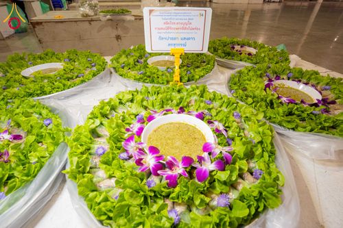 ภาพ No.303596:วันที่ 27 มกราคม พ.ศ. 2569 พิธีถวายภัตตาหารเป็นสังฆทาน แด่พระธรรมยาตรา ณ วัดพระธรรมกาย  จังหวัดปทุมธานี ในโครงการธรรมยาตรา กตัญญูบูชา มหาปูชนียาจารย์ พระมงคลเทพมุนี(สด จนฺทสโร) พระผู้ปราบมาร อนุสรณ์สถาน 7 แห่ง ปีที่ 14