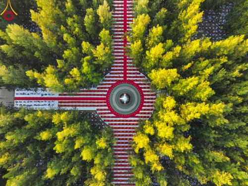 ภาพ No.107081:พิธีจุดประทีปถวายเป็นพุทธบูชา และบูชาธรรมมหาปูชนียาจารย์ ในโครงการธรรมยาตรากตัญญูบูชา มหาปูชนียาจารย์ พระมงคลเทพมุนี(สด จนฺทสโร) พระผู้ปราบมาร  อนุสรณ์สถาน 7 แห่ง ปีที่ 12  วันที่ 6 มกราคม พ.ศ. 2567 ณ อนุสรณ์สถานมหาวิหารพระมงคลเทพมุนี อ.สองพี่น้อง จ.สุพร