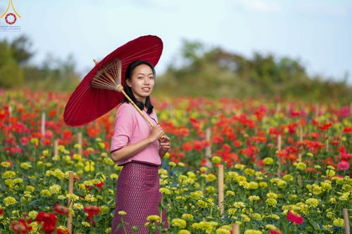 ภาพ No.104297:บรรยากาศ ทุ่งดอกทรัพย์บานชื่น ณ สวนพนาวัฒน์ อ.ฮอด จ.เชียงใหม่ ช่วงระหว่างวันที่ 20 - 25 ธันวาคม พ.ศ. 2566