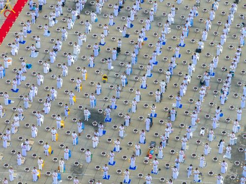 ภาพ No.160386:พิธีปลูกต้นทรัพย์บานชื่น ณ ลานธรรม พระมหาธรรมกายเจดีย์ วัดพระธรรมกาย จ.ปทุมธานี วันพฤหัสบดีที่ 10 ตุลาคม พ.ศ. 2567