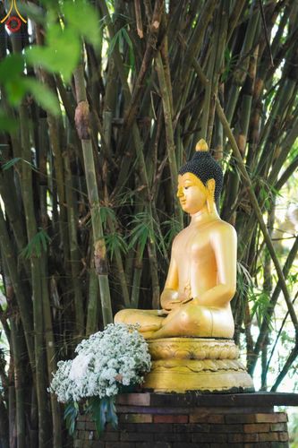 ภาพ No.94590:พิธีทอดกฐินสามัคคีทั่วไทย 5,000 วัด วัดป่านานาชาติม่อนอังเกตุ ณ ธรรมสถานนานาชาติป่าแป๋ อ.แม่แตง จ.เชียงใหม่ วันที่ 13 พฤศจิกายน พ.ศ. 2566