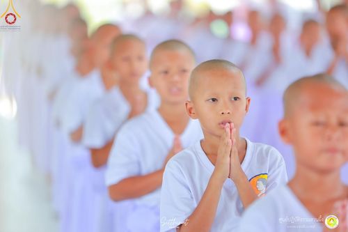 ภาพ No.135627:พิธีขอขมารับผ้าไตร , พิธีบรรพชา ในโครงการบรรพชาสามเณร ฟื้นฟูพระพุทธศาสนาทั่วไทย  ณ ศูนย์ปฏิบัติธรรมสวนผึ้ง จ.ราชบุรี วันที่ 4 เมษายน พ.ศ. 2567