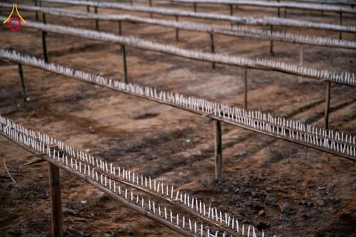 ภาพ No.176138:พิธีทอดกฐินสมทบ โดยมูลนิธิธรรมกาย ในนามหลวงพ่อธัมมชโย ณ วัดสัทธนารามา บานา วิหาร เมืองไดยุน รัฐอรุนาจาลประเทศ ประเทศอินเดีย วันที่ 15 พฤศจิกายน พ.ศ. 2567