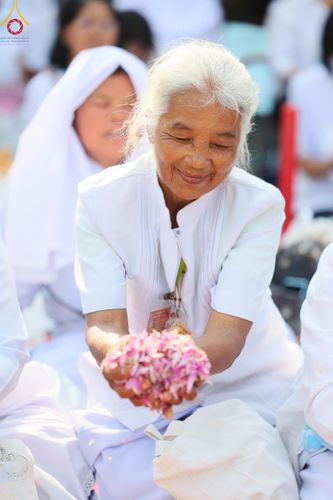 ภาพ No.113070:พิธีต้อนรับพระธรรมยาตรา ปีที่ 12 วันที่ 15 มกราคม พ.ศ. 2567 ณ วัดโบสถ์บน จ.นนทบุรี
