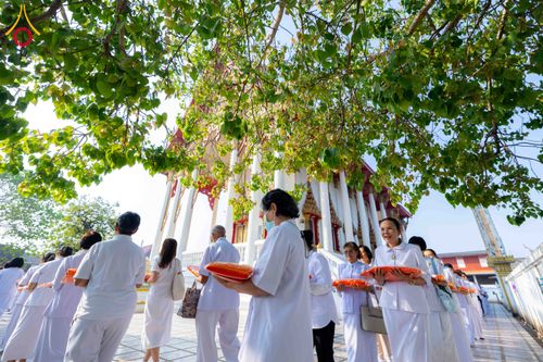 ภาพ No.298854:วันที่ 16 มกราคม พ.ศ. 2569 พิธีทอดผ้าป่าทำนุบำรุงศาสนสถาน ณ วัดอัมพวัน ต.บางม่วง อ.บางใหญ่ จ.นนทบุรี ในโครงการธรรมยาตรา กตัญญูบูชา มหาปูชนียาจารย์ พระมงคลเทพมุนี(สด จนฺทสโร) พระผู้ปราบมาร อนุสรณ์สถาน 7 แห่ง ปีที่ 14